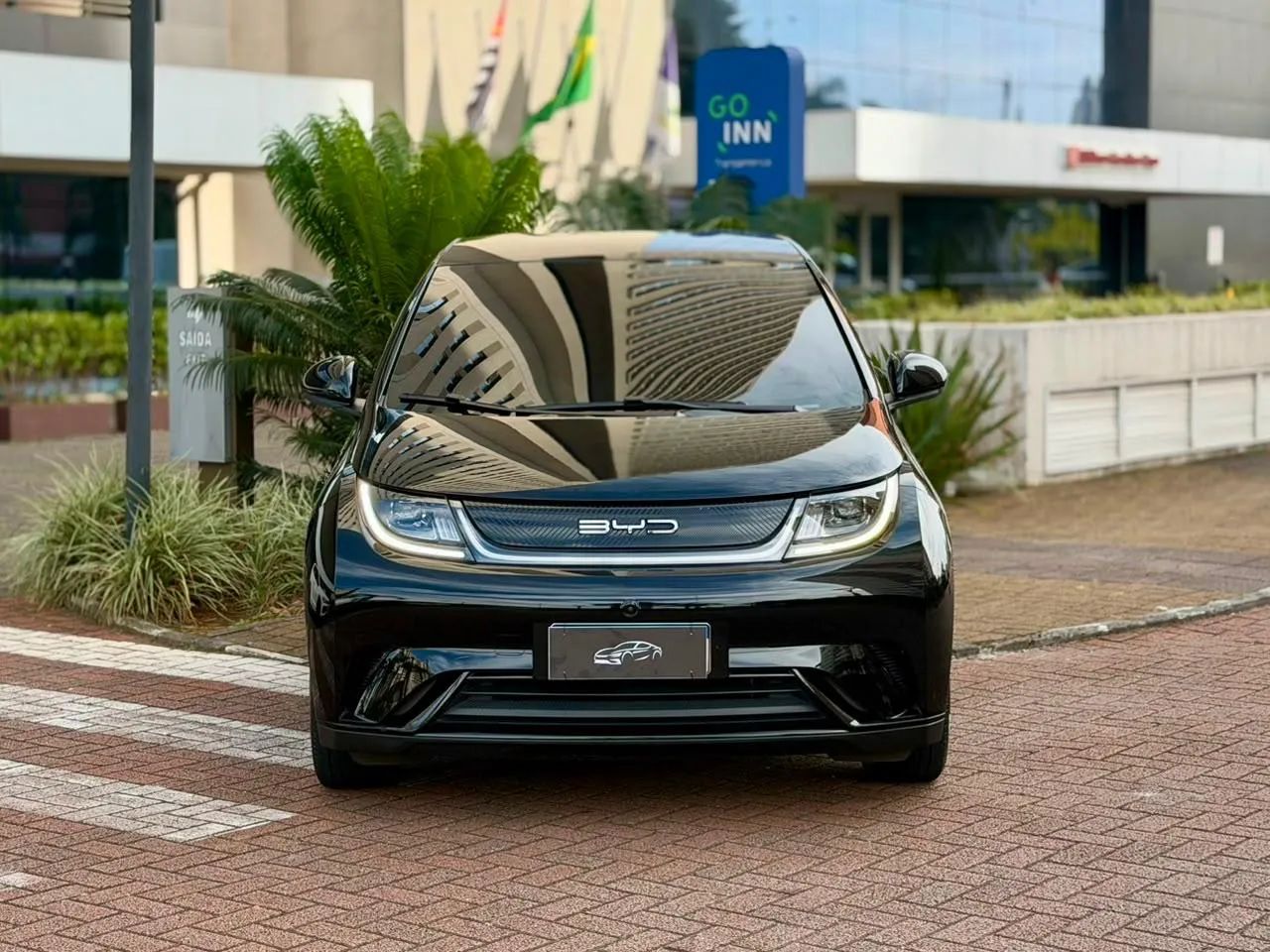 BYD Dolphin EV (Elétrico) 2024 - Foto 2