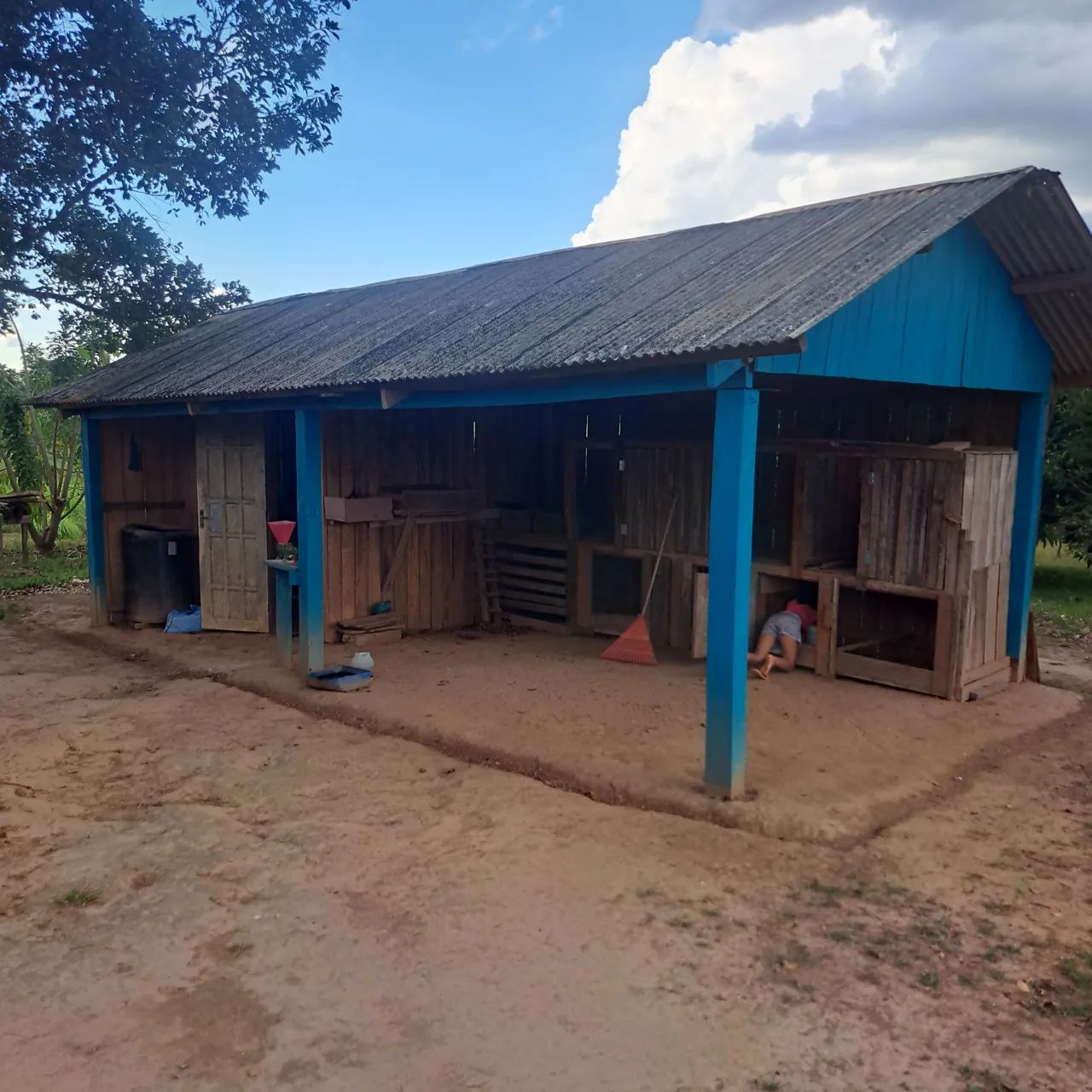 Vendo chácara em bujari acre 2 hectares tel. *  - Foto 3