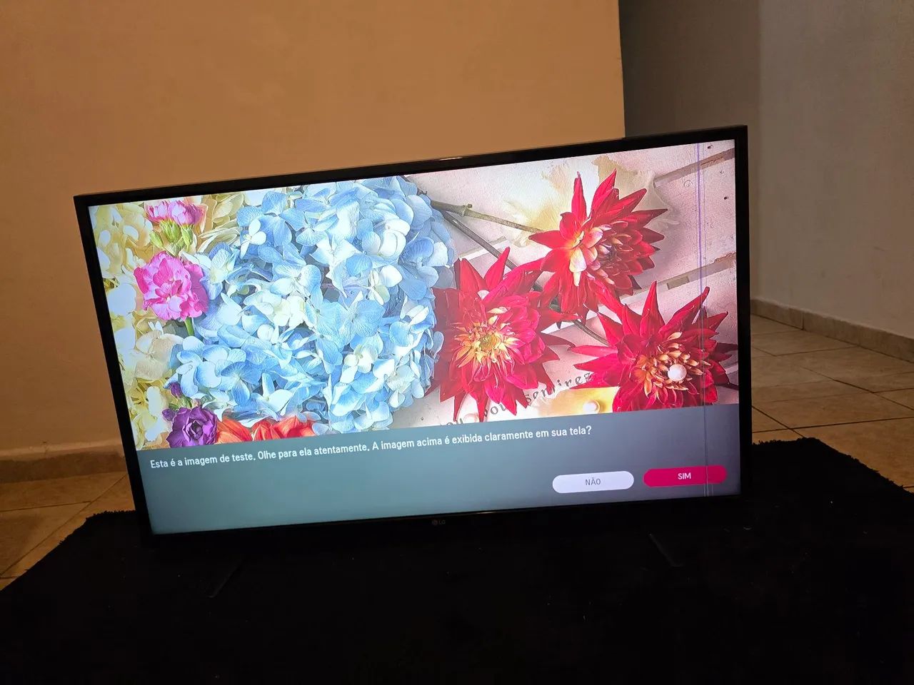 Tv LG 43 polegadas com defeito na tela - Foto 2