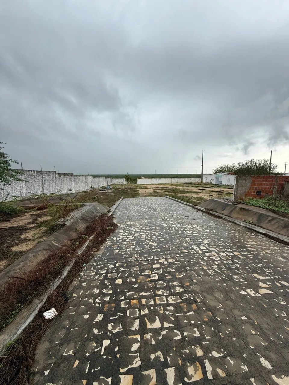 Canteiro com 10.000 m² Murado e Pronto para Grandes Projetos - Oportunidade Única - Foto 4