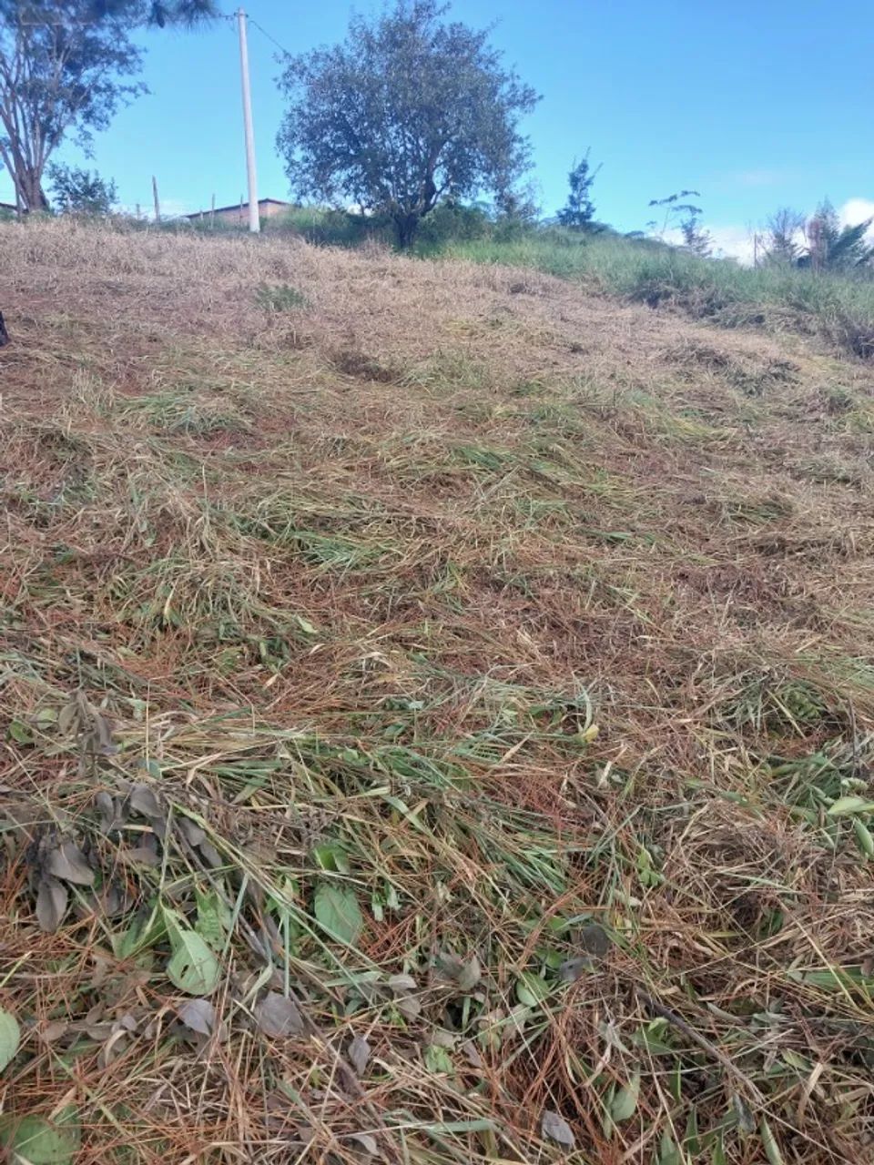 Otimo terreno de 4.500m2 em Bofete - Foto 4