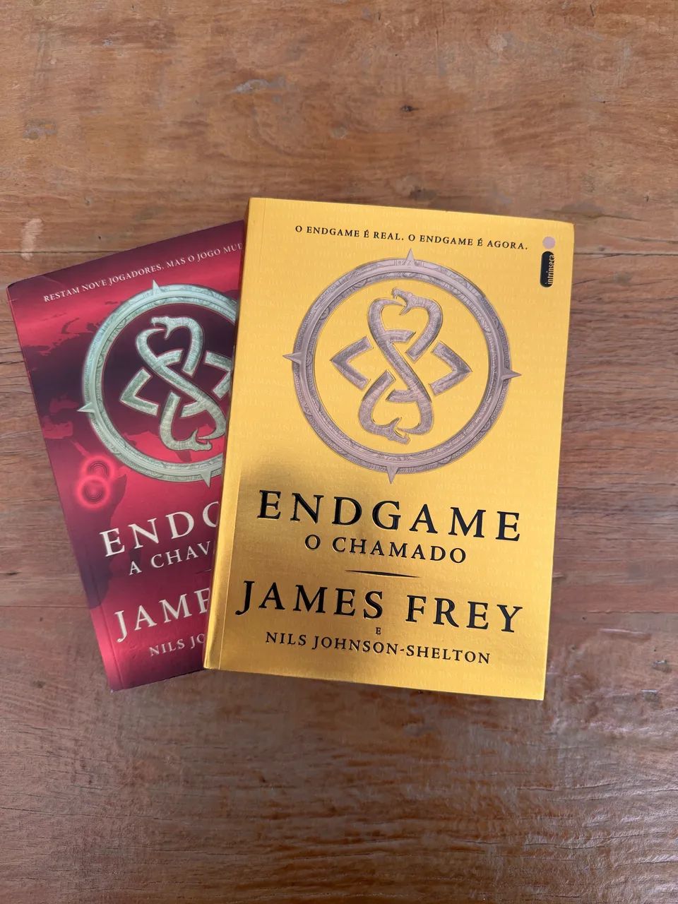 Endgame o chamado e a chave do céu 