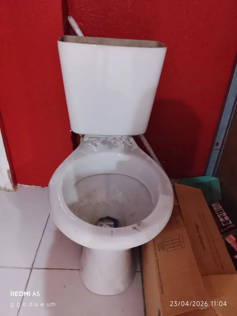 Toilet Bowl