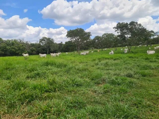 Fazenda em Cláudio /MG. - Foto 3