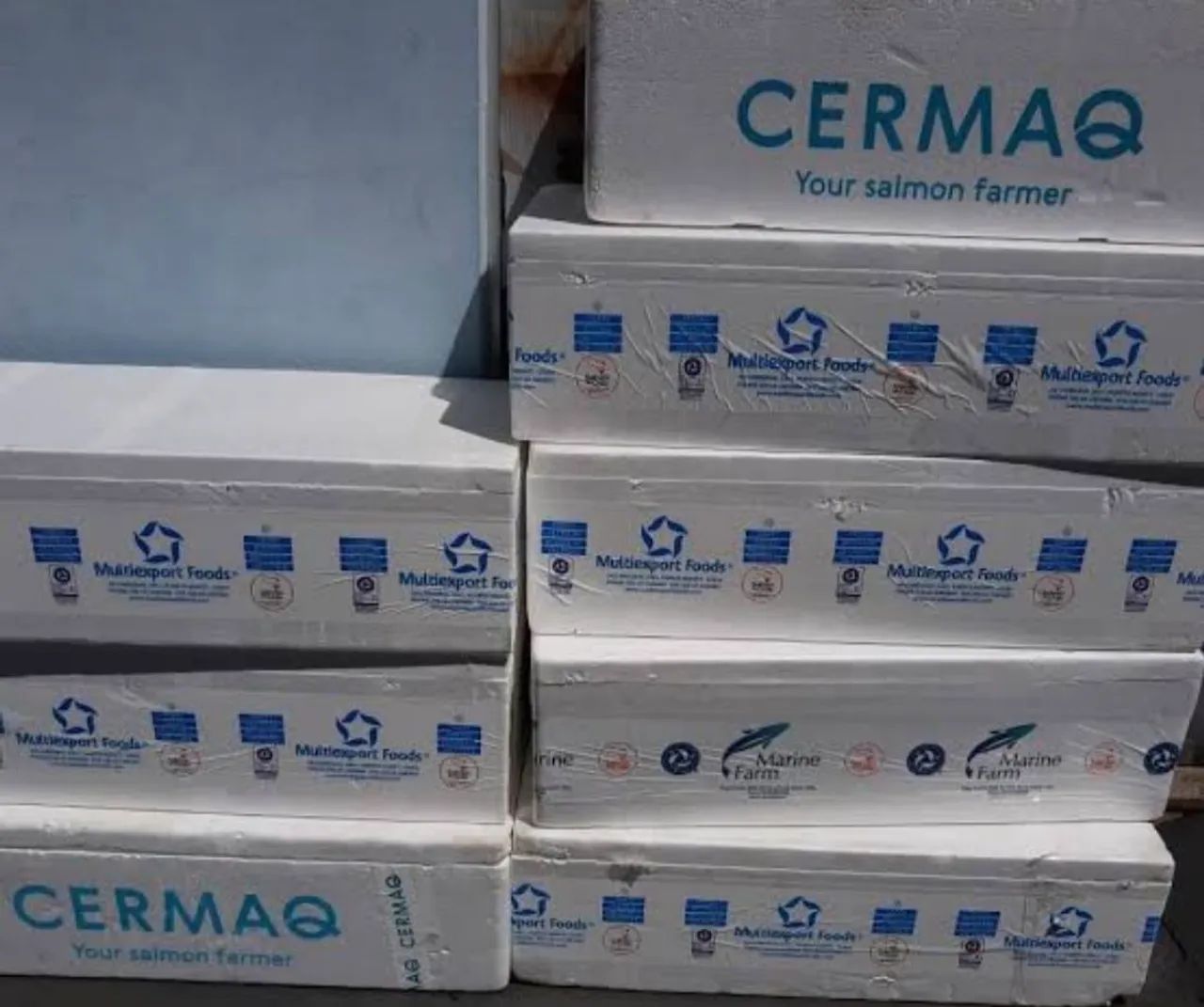 Promoção caixa de isopor Varejo R$ 10 Unidade - Foto 4