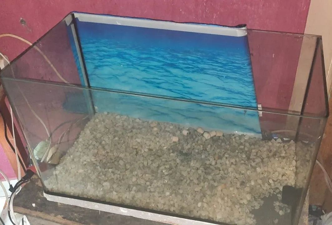 Aquário  - Foto 2