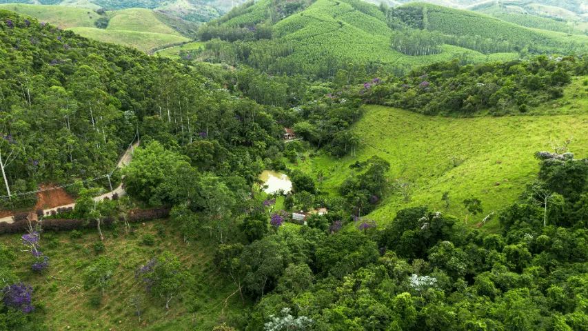 Foto - Monteiro Lobato - 