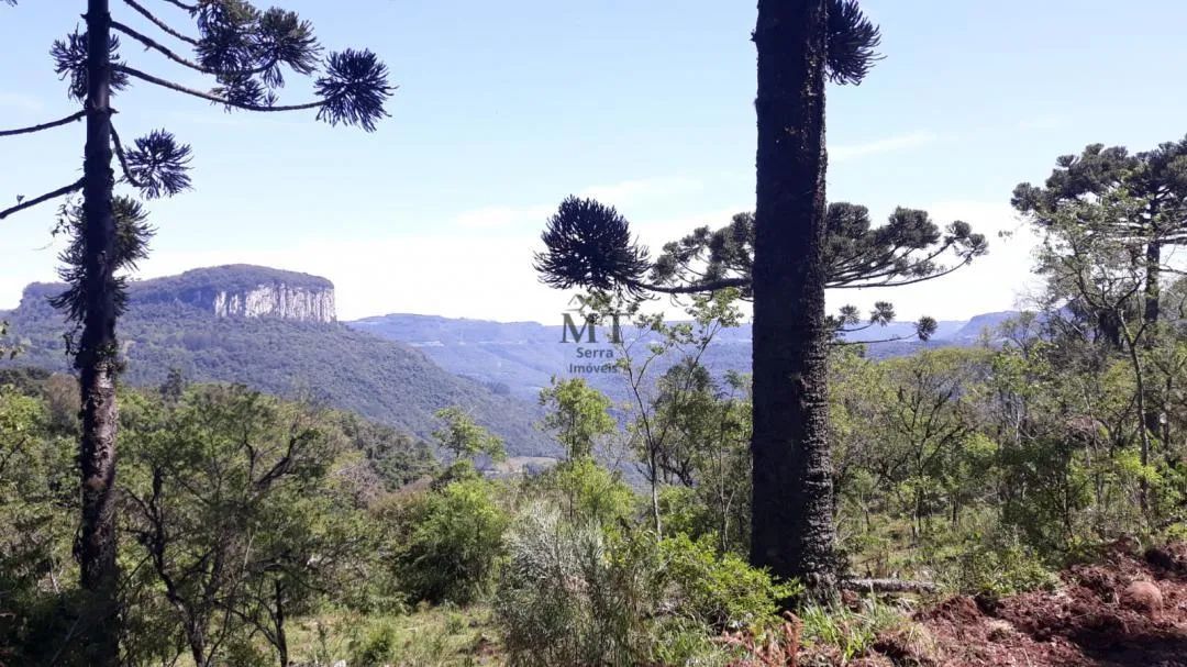 Área de terra a venda em Nova Petropolis.RS Ref.:20 - Foto 2
