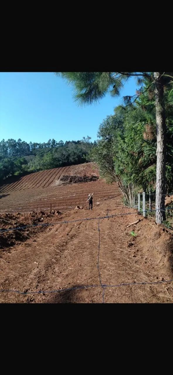 Chácara em Campo Magro PERMUTA - Foto 2