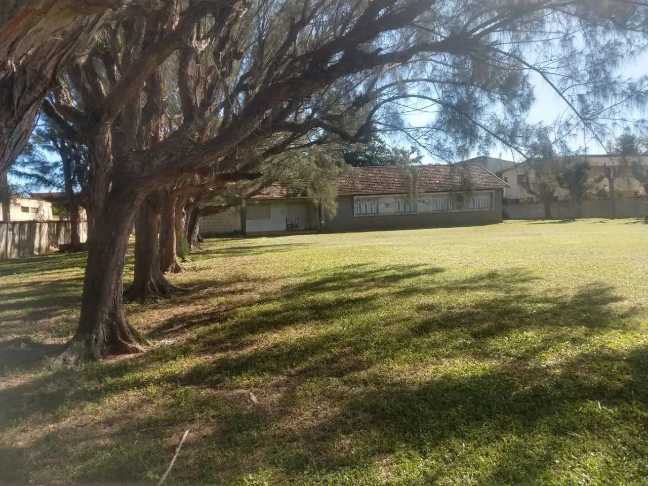 Área na Avenida liberdade Grussaí - Foto 2