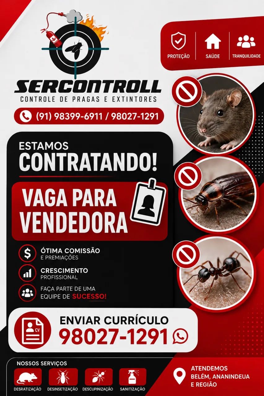 VENDEDORA INTERNA 