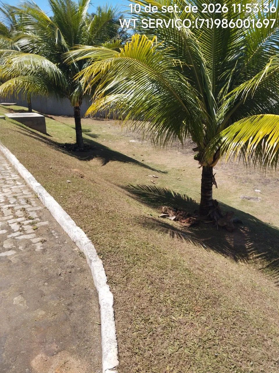 Wt serviços jardinagem é roçagem  - Foto 2