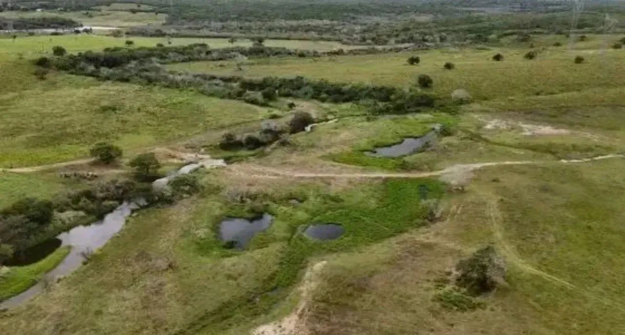 Fazenda Arapiranga a Venda 341 Hectares - Foto 9
