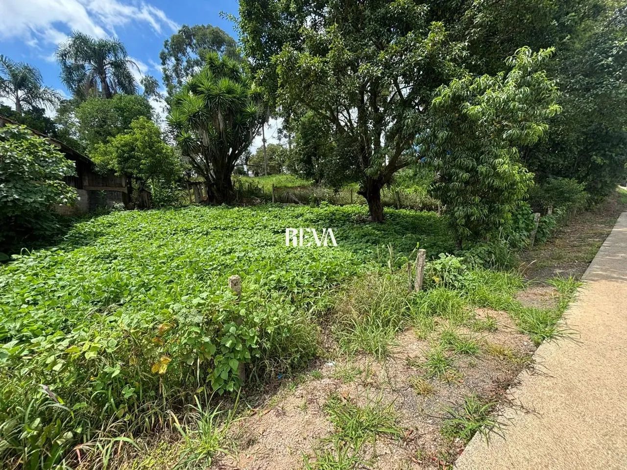 Terreno com 652,04 m² - Foto 10