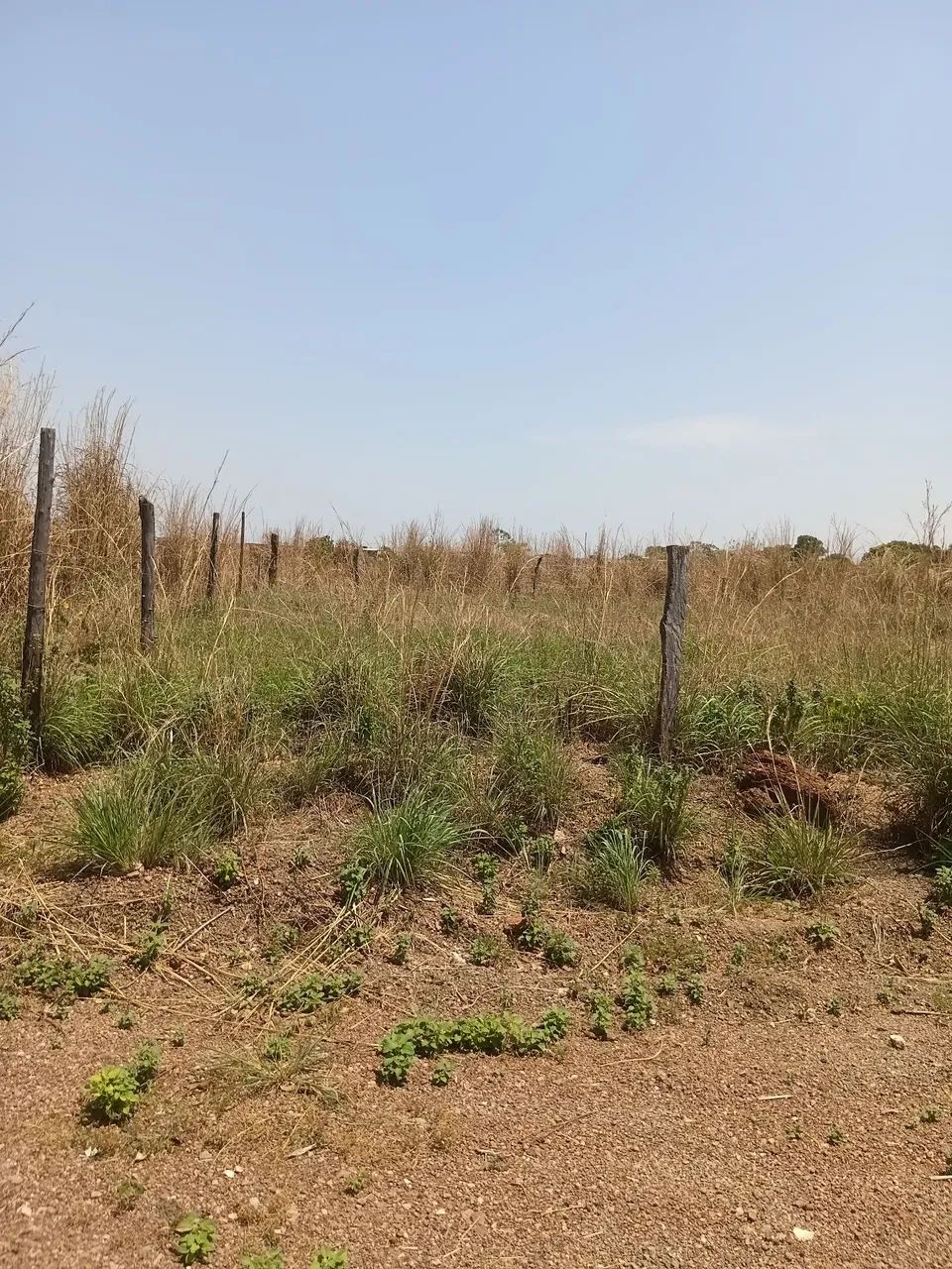 Lote São Mateus  - Foto 2