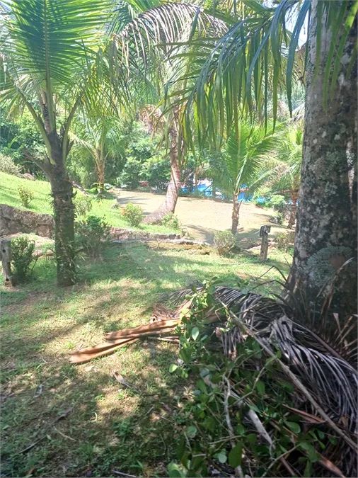 Chácara à venda em Cidade jardim - SP - Foto 2