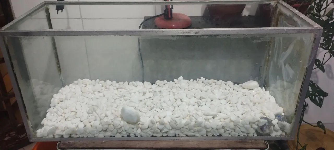 Aquário/terrário  - Foto 2