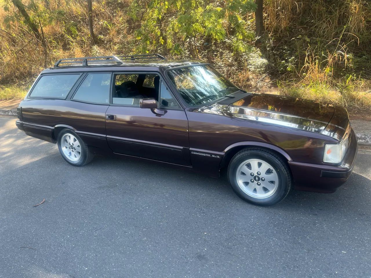 Chevrolet Caravan L/sl/s/ss 2.5/4.1/4.2 1992