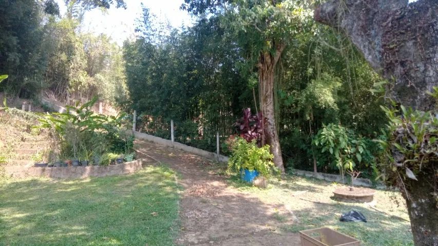 Lindo Sítio em Mendes de 3.000m² - Foto 2