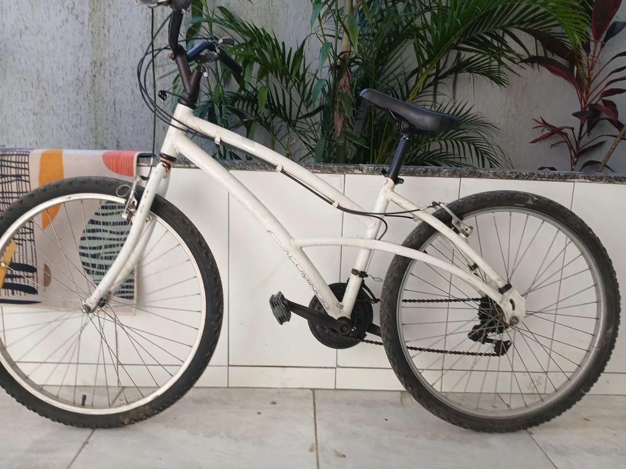 Bicicleta  - Foto 2