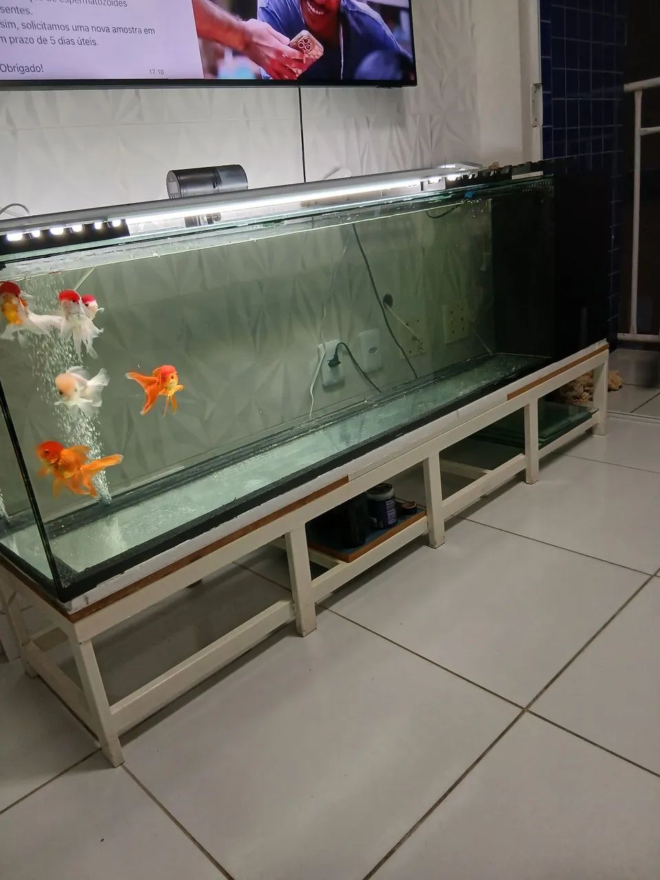 Aquario  - Foto 2