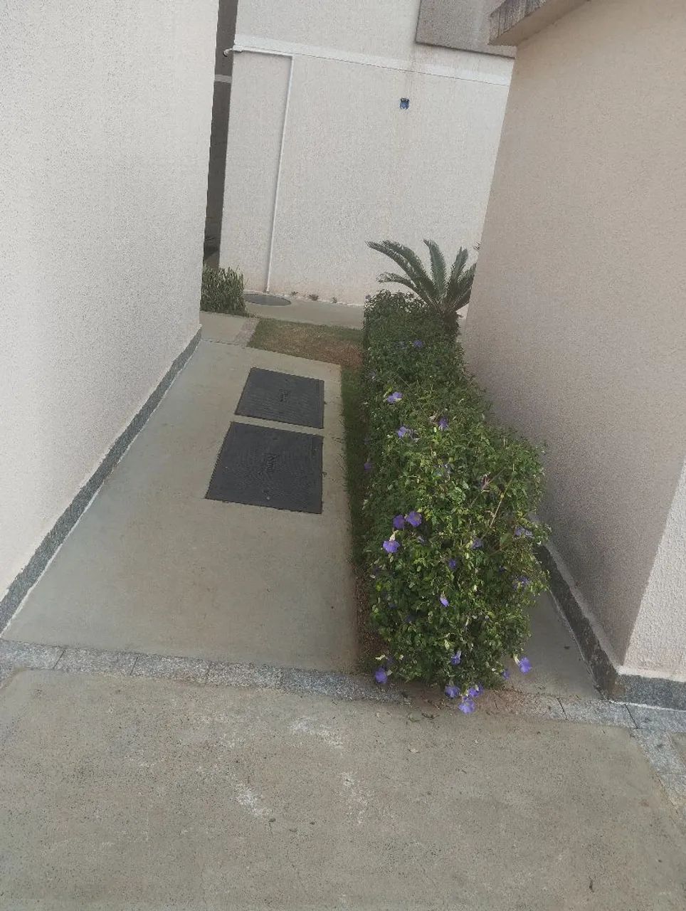 Jardinagem e limpeza de lotes  - Foto 3