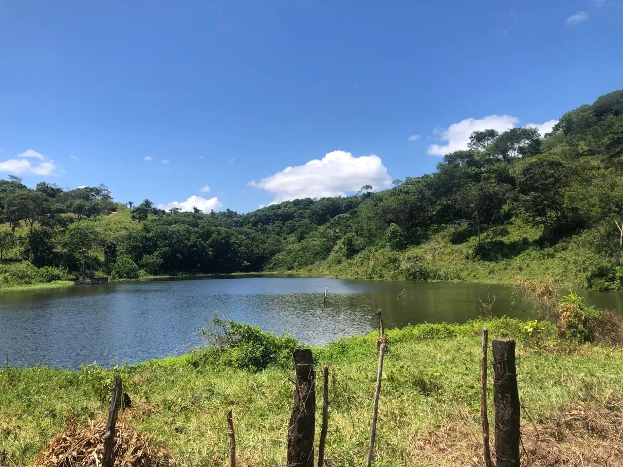 Fazenda em Areia- Pb - Foto 5