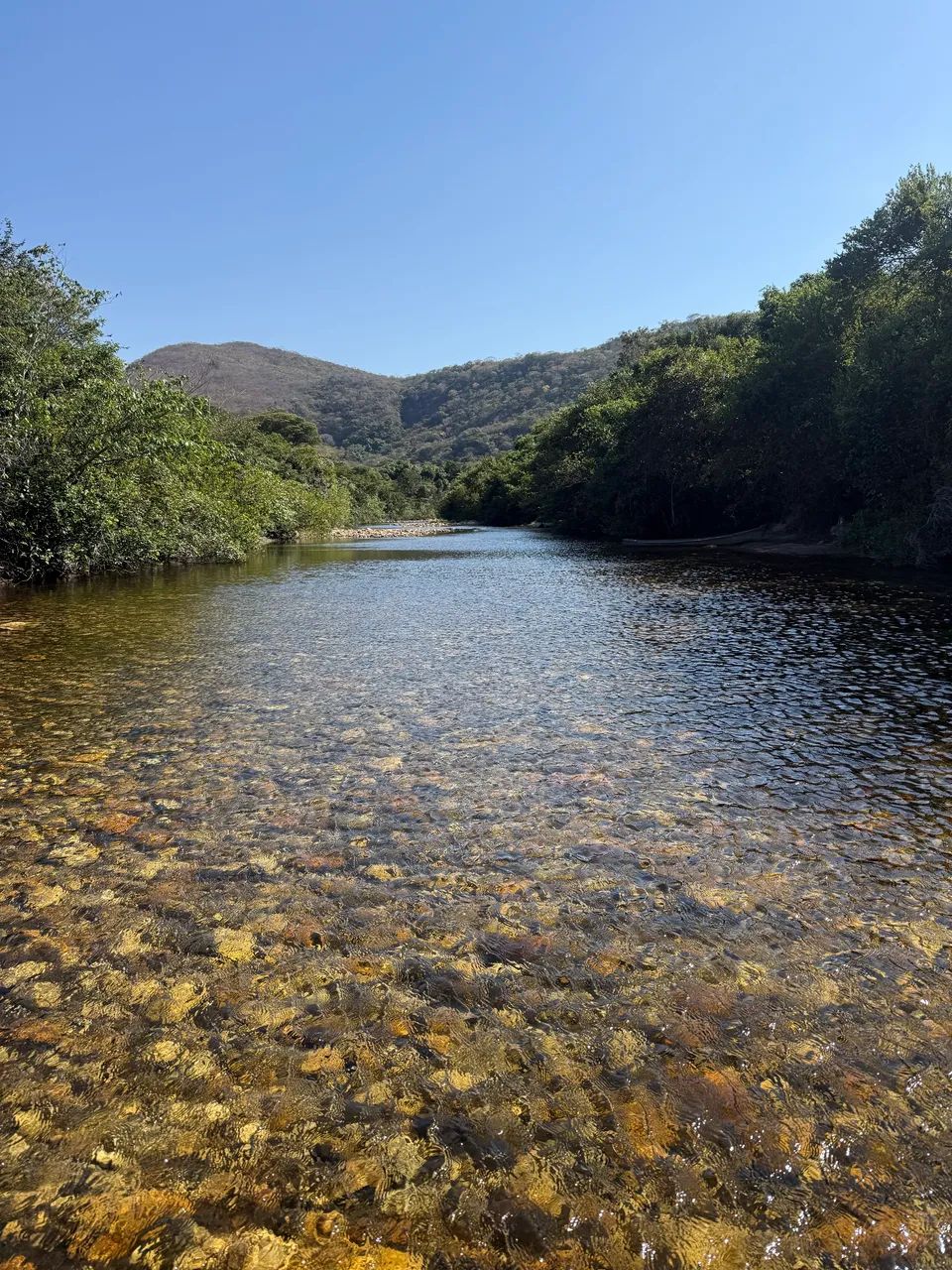 Foto - Ribeirão das Neves - Severina