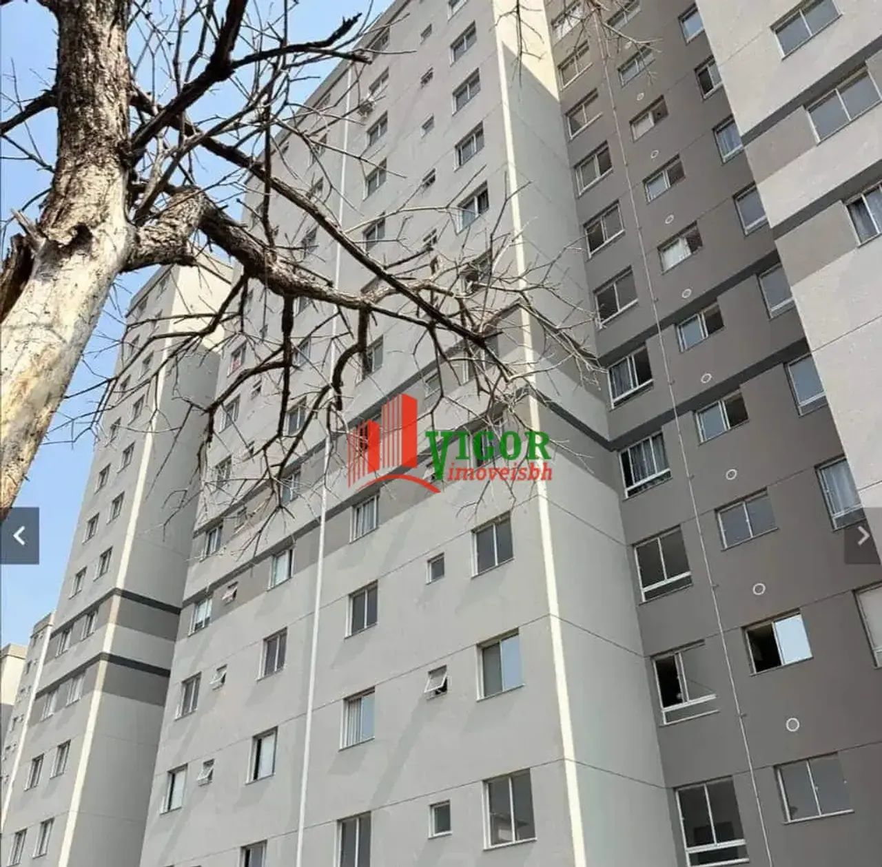 Apartamento - Foto 2