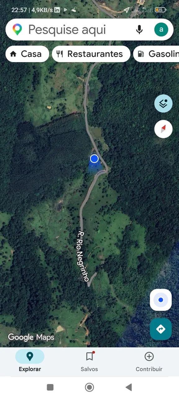 Vendo Floresta de eucalipto em pé 20.000 árvores