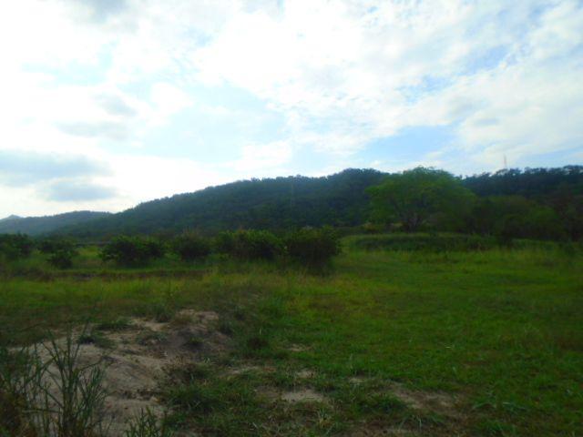 Código 223 Fazenda localizada no Retiro, próxima a RJ 106, Maricá-RJ - Foto 2
