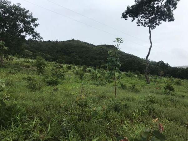 86 Alq 140 km de Goiânia - Foto 10