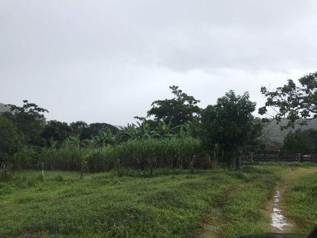86 Alq 140 km de Goiânia - Foto 2