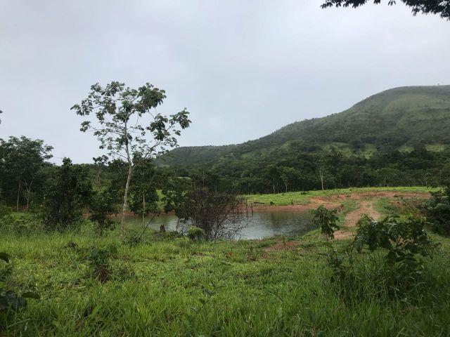 86 Alq 140 km de Goiânia - Foto 5