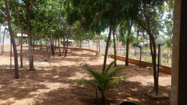 Rancho 60km de Niquelandia - Foto 5