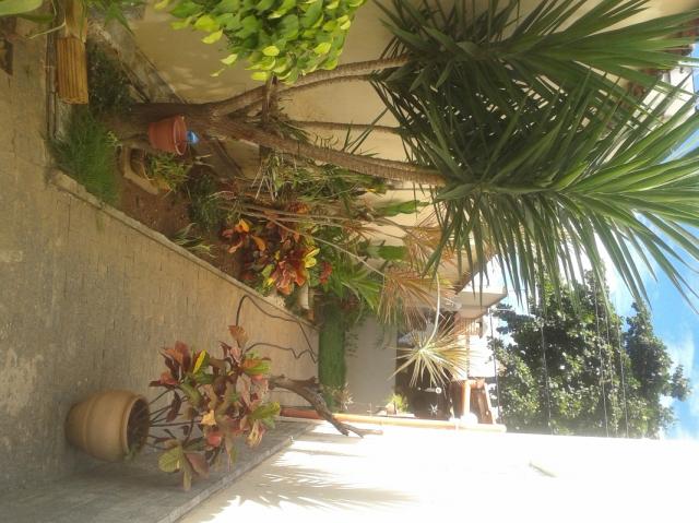 Casa residencial à venda, nossa senhora da glória, belo horizonte - ca0359. - Foto 6