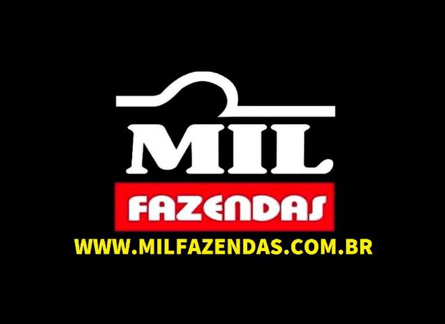 Faz. Santa Helena/GO. Para: Cana|Grãos|Pecuária|Haras|Leite|Vitrine|Lazer|Loteamento - Foto 3
