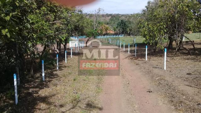 Oportunidade chácara, sítio 4 Hidrolândia/Aragoiania - Foto 15
