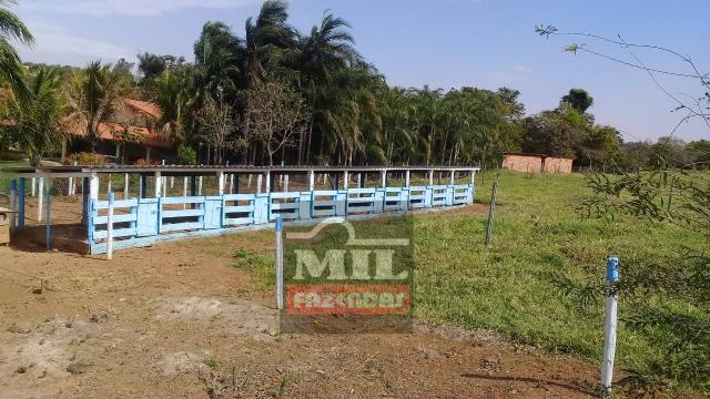 Oportunidade chácara, sítio 4 Hidrolândia/Aragoiania - Foto 6