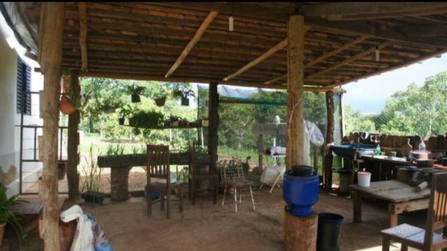 Fazenda 225 km de Goiânia município de Ipameri - Foto 11