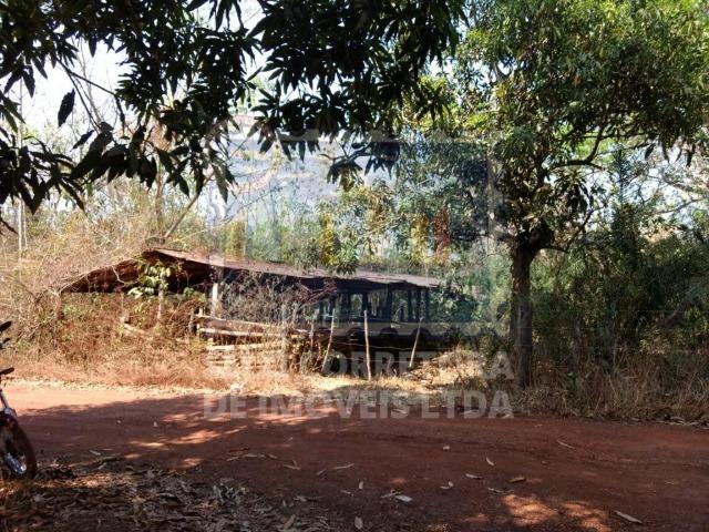 Otima Fazenda Muni. de Santo Antonio de Leveger a 20 km de Cuiabá - Foto 8