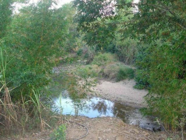 Chácara com para morar ou finais de semana. Casa com 3 Quartos à Venda, 21000 m² - Foto 12