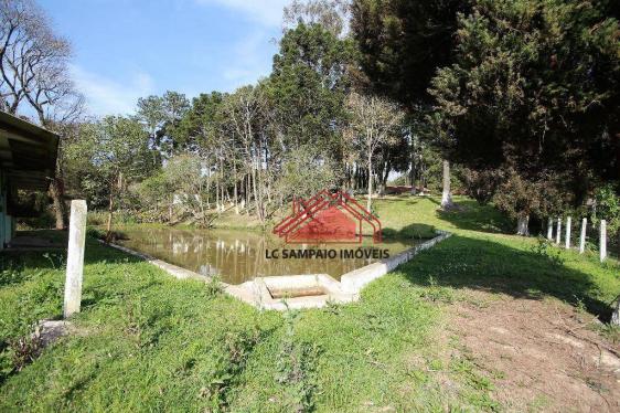 Chácara toda documentada com área de 36.000 m² (1,5 alqueire), toda cercada, com 4 tanques - Foto 17