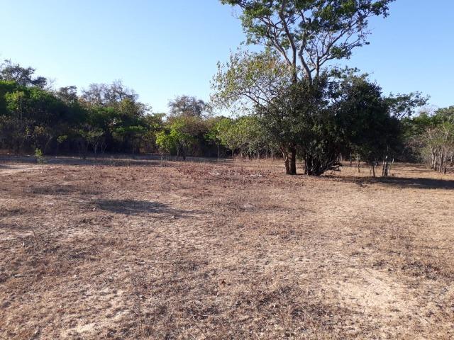 Chácara 04 hectares - Flores de Goiás