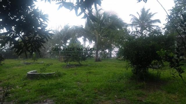 Chácara, Zona Rural, São Gonçalo dos Campos-BA - Foto 6