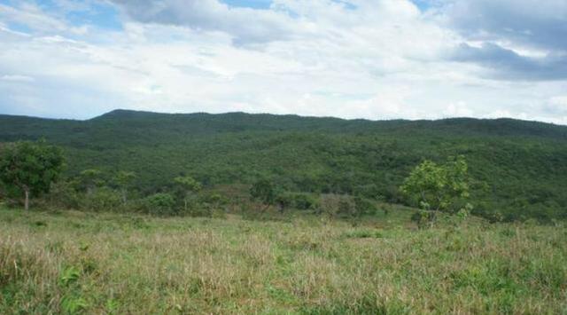 Fazenda 225 km de Goiânia município de Ipameri - Foto 5