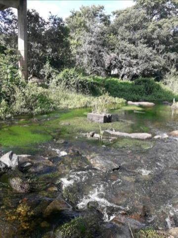 Fazenda rural em forquilha