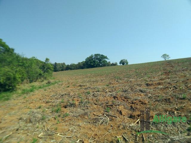 Fazenda Em Pouso Alegre - Foto 15