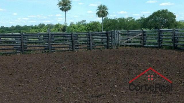 Chácara à venda em Centro, Corumbá cod:8013 - Foto 5