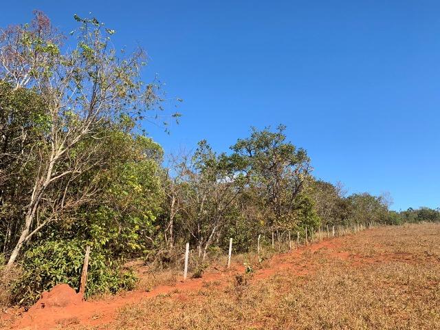 Chácara de 4.75 alqueires ( 23.05 ha ) Cristianópolis-GO - Foto 8
